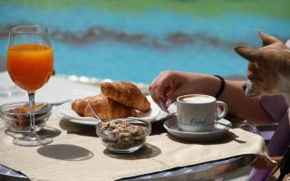 Breakfast with croissants, juice, and coffee by the pool.