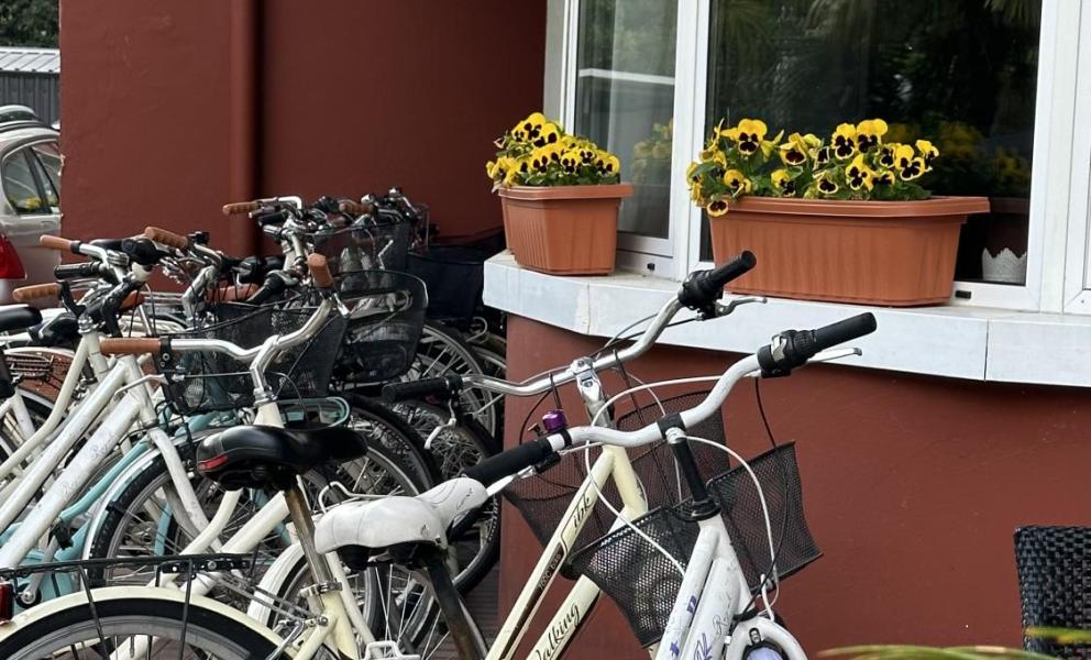 Biciclette parcheggiate vicino a fiori gialli su un marciapiede.